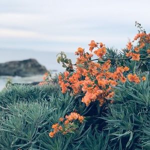 Meet your Posher, Marian